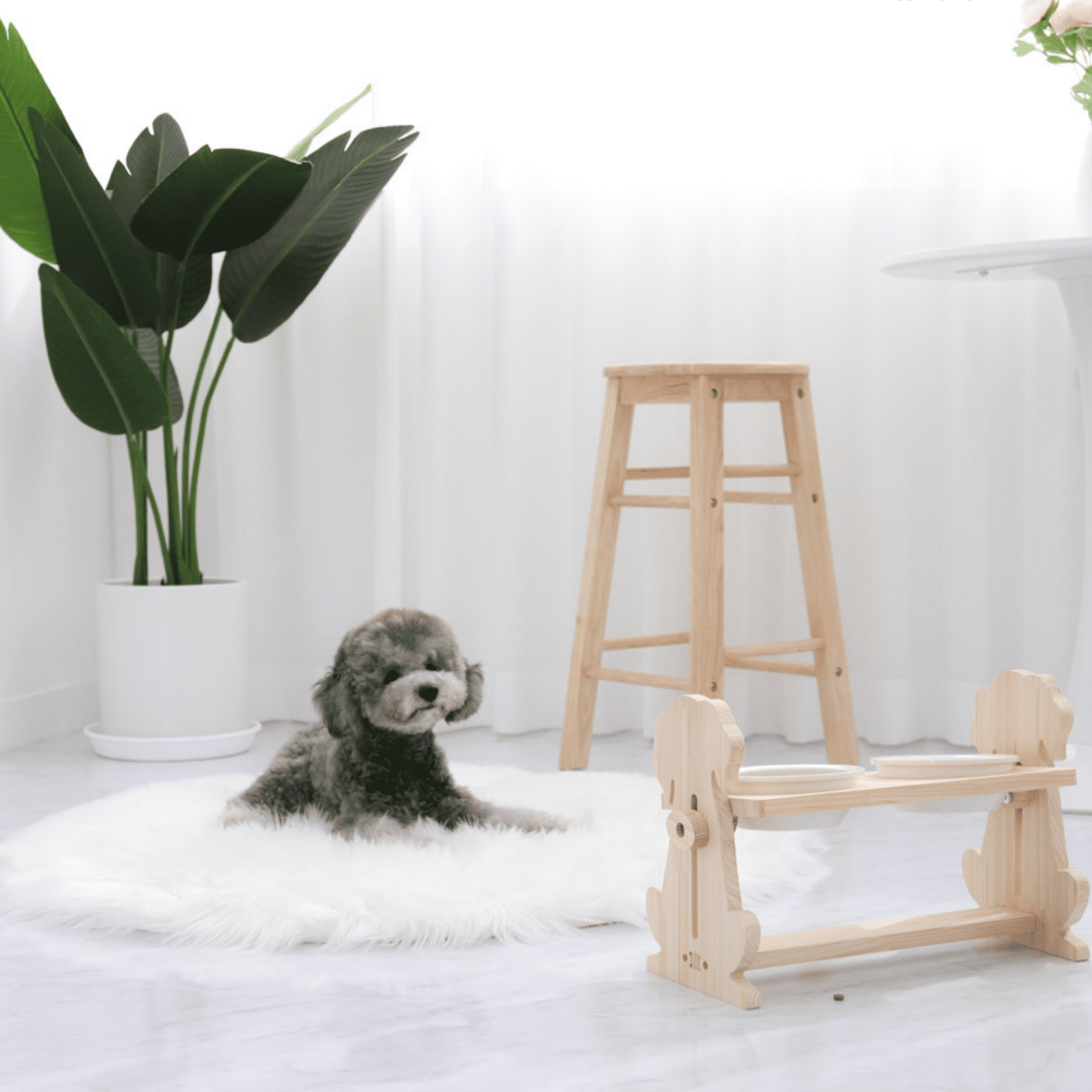 Cypress Wood Adjustable Bowl Set - For Dog & Cat Allergy Free Height Adjustable, Relaxing Angle, Sanitary Ceramic Dishes with high end furniture grade.