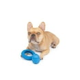 thumbnail image 3 of One Paw, 2 pack Rubber Chew Dog Toy, Medium, Treat Dispenser, 3 of 4