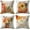 A+B+C+D, variant on 1Pc/4Pcs Fall Decor Pillow Covers 18x18Inch Pumpkin Maple Leaves Sunflower Vase Fall Outdoor Throw Pillows Covers Autumn Farmhouse Thanksgiving Decorative Cushion Case for Couch Sofa