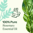 thumbnail image 5 of Plant Therapy Rosemary Essential Oil 100% Pure, Undiluted, Natural Aromatherapy , 30 mL (1 oz), 5 of 8