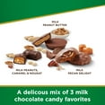 thumbnail image 2 of RUSSELL STOVER Sugar Free Assorted Chocolate Candy with Nuts, 15.5 oz. bag (≈ 26 pieces), 2 of 9