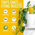 thumbnail image 6 of Yirtree Indoor & Outdoor Fungus Gnats & Whiteflies Trap Dual-Sided Yellow Sticky, 20 Count, 6 of 8