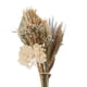 thumbnail image 2 of Hierba seca grande, hojas de palma, arreglos florales, adornos para tartas, flores, decoración de bodas, hogar Marrón, 2 of 7