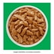 thumbnail image 4 of Alimento para Perro Purina Dog Chow Adulto Sabor Cordero 100 g, 4 of 4