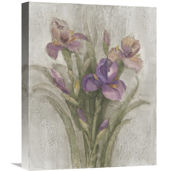 Global Gallery Albena Hristova 'Purple Iris Garden on Grey' Canvas Wall Art