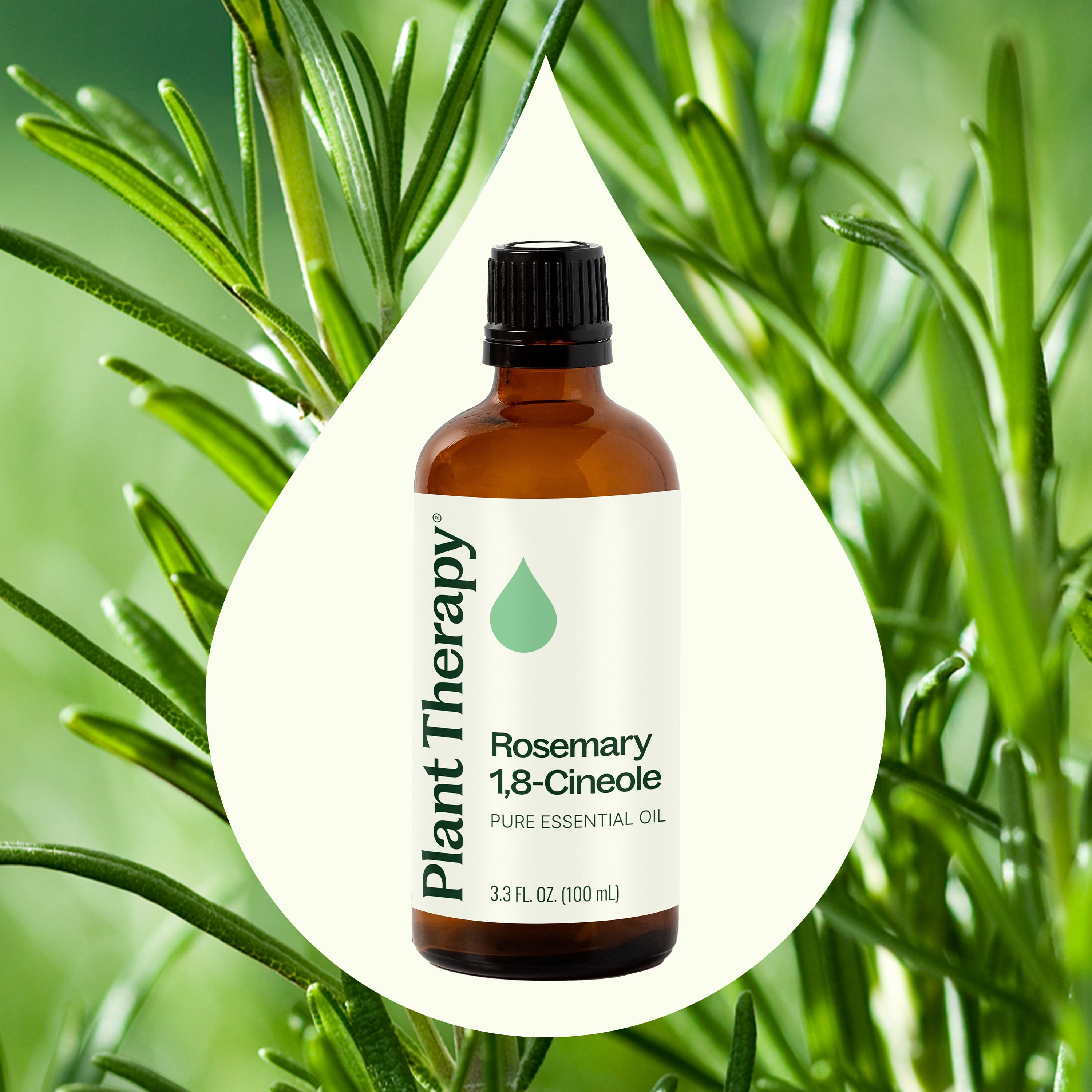 Plant Therapy Rosemary Essential Oil 100% Pure, Undiluted, Natural Aromatherapy 100 mL (3.3 fl oz)
