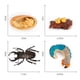 thumbnail image 3 of Ciclo de vida de Montessori: 4 partes, animales, insectos, naturaleza, juguetes educativos dientes traseros, 3 of 7