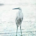thumbnail image 2 of Bluebird Barn 26x26 White Modern Wood Framed Museum Art Print Titled - Beach Heron, 2 of 4