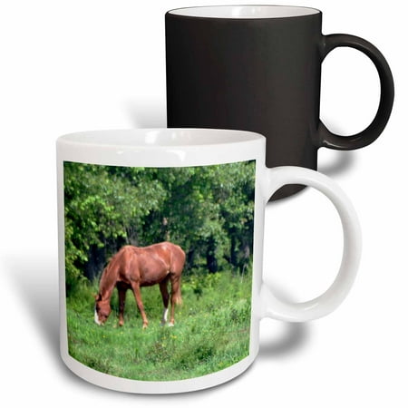 

3dRose A horse grazing Magic Transforming Mug 11oz