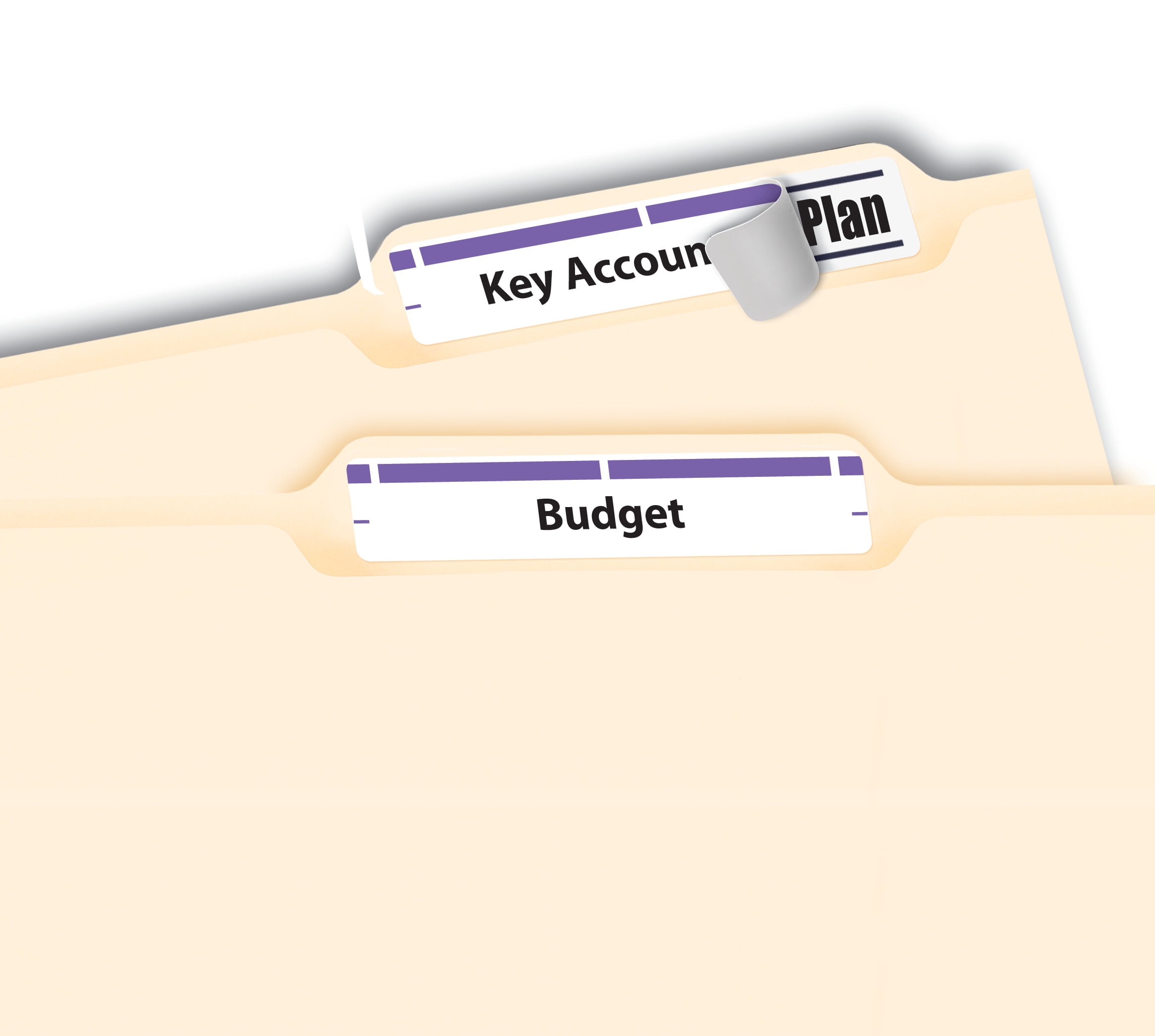 Avery File Folder Labels, 2/3" x 3-7/16", White/Purple (5666)