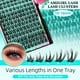 thumbnail image 3 of Lash Clusters Kit AMZGIRL LASH Manga Extension 140 unidades, 3 of 6