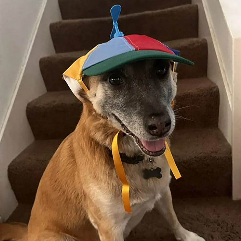 Pit Bull Spinny Hat For Dogs Pit Bull Dog Hat With Spinner Dog