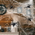 thumbnail image 5 of Clearance Under $1.1! 1PC Giant Realistic Plastic Spider, 3.5 Halloween Prank Decor for Party & House Plastic (3.5in Black), 5 of 6