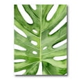 thumbnail image 2 of Designart Green Monstera Leaf Tropical Palm Botanical Detail Canvas Wall Art, 2 of 4