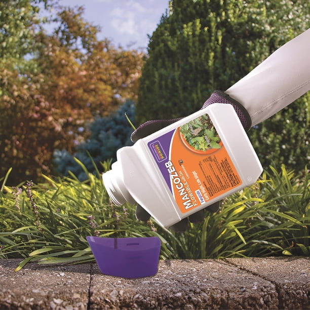Bonide Zinc Fungicide Concentrate - Broad Spectrum Treatment for