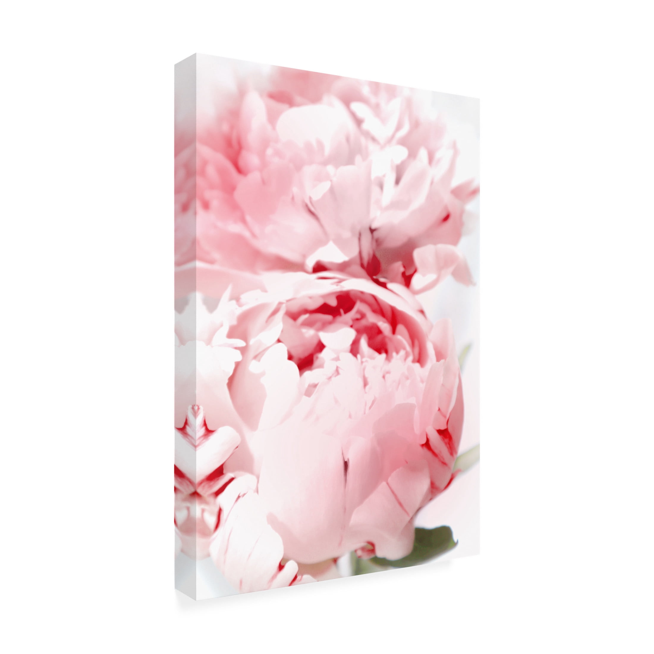 Trademark Fine Art Rosana Laiz Blursbyai Bllush peony X Canvas Wall Art