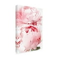 thumbnail image 3 of Trademark Fine Art Rosana Laiz Blursbyai Bllush peony X Canvas Wall Art, 3 of 4