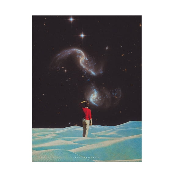 Trademark Fine Art spacerocket art 164 Canvas Wall Art