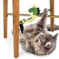 thumbnail image 5 of SmartyKat Bendy Buddy, 5 of 5