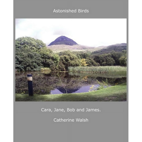 Astonished Birds Cara, Jane, Bob and James.