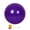 Purple, variant on SPRING PARK 45cm Exercise Ball - Anti-Burst Fitness, Balance Ball for Pilates, Yoga, Birthing, Stability Gym Workout Training and Physical Therapy