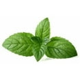 thumbnail image 2 of 15 ml (1/2 oz) Menthol Crystals in Glass Jar - 100% Pure and Natural by Silky Scents, 2 of 5