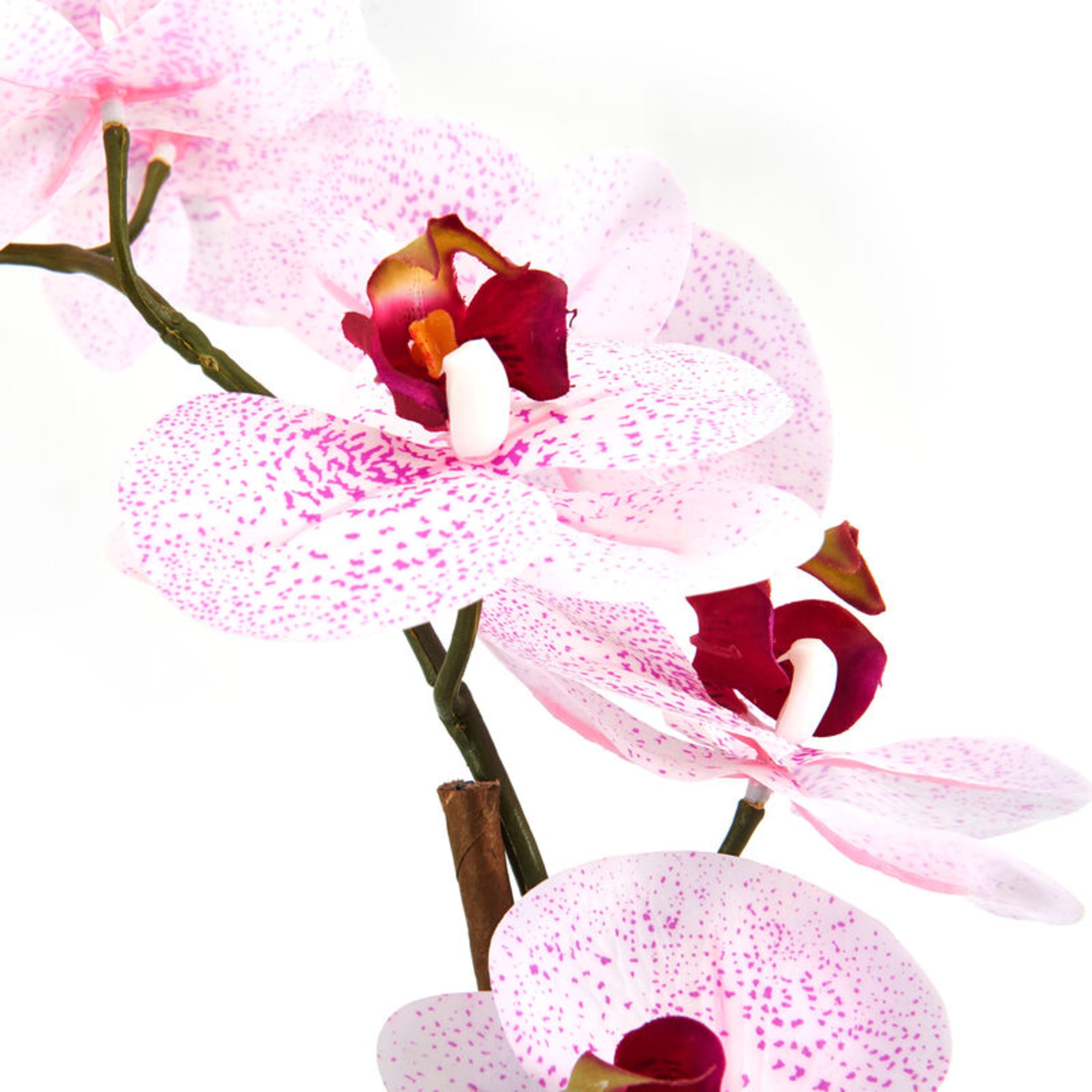 Home Accents 21-inch Artificial Real Touch Phalaenopsis Orchid Flower in Pot, Pink