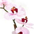 thumbnail image 3 of Home Accents 21-inch Artificial Real Touch Phalaenopsis Orchid Flower in Pot, Pink, 3 of 7