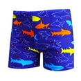 thumbnail image 1 of Swim Trunks Swim Trunks Boys Plus Size Kids Spa Bathing Suit Clothes, 1 of 6