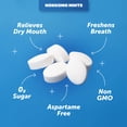 thumbnail image 6 of Nokkomo Mints Strawberry Fizzy Mints for Dry Mouth Relief, Sugar Free, 40 Mints Each Pack of 6, 6 of 6