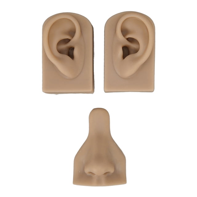 Modelo de práctica de perforación de silicona, Modelo de práctica de perforación de silicona Modelo de práctica de perforación suave Modelo de práctica de perforación flexible Estética elegante