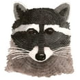 thumbnail image 2 of Saylor, Jeannine 26x28 Black Ornate Wood Framed with Double Matting Museum Art Print Titled - Raccoon, 2 of 4