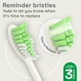 thumbnail image 4 of Replacement Toothbrush Heads Brushmo Compatible w/ Philips, 4 of 5