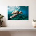 thumbnail image 2 of Elephant Stock Maui Turtle Wall Art - Horizontal Canvas Wall Art - Living Room Wall Decor - Animal Canvas - Teal And Green Decor - 12" x 8", 2 of 8