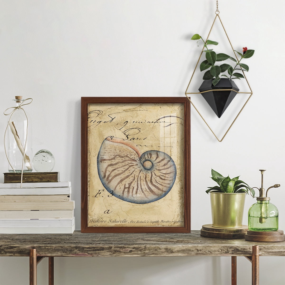 Seashell Ephemera II - Framed Print w/glass - Chestnut