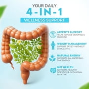 DR Vitamin Solutions Probiotic Capsules with Akkermansia & Inulin Fiber, 1B AFU, 30 Count