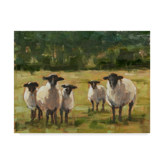 Trademark Fine Art 'Sheep Family I' Canvas Art by Ethan Harper