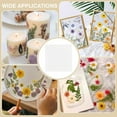 thumbnail image 6 of 1 Set 50 Sheets Blotting Paper for Flower Press 10.43x10.43Inch Flower Press Paper Highly Absorbent and Reusable Blotter Paper for Flower Press Herbarium Paper Craft, 6 of 6