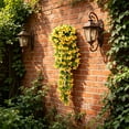 thumbnail image 1 of Flores Colgantes de Glicinia Artificial – Enredaderas Artificiales de Seda para Arcos de Boda, Paredes, Vallas de Jardín y Decoración de Interiores y Exteriores., 1 of 6