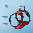 thumbnail image 4 of Voyager Dog Harness Dual Leash Attachment No-Pull Control Adjustable Soft but Strong Pet Harness for Medium and Large Dogs with 3M Reflective Technology - Red Lattice, S (Chest: 16 - 20"), 4 of 6