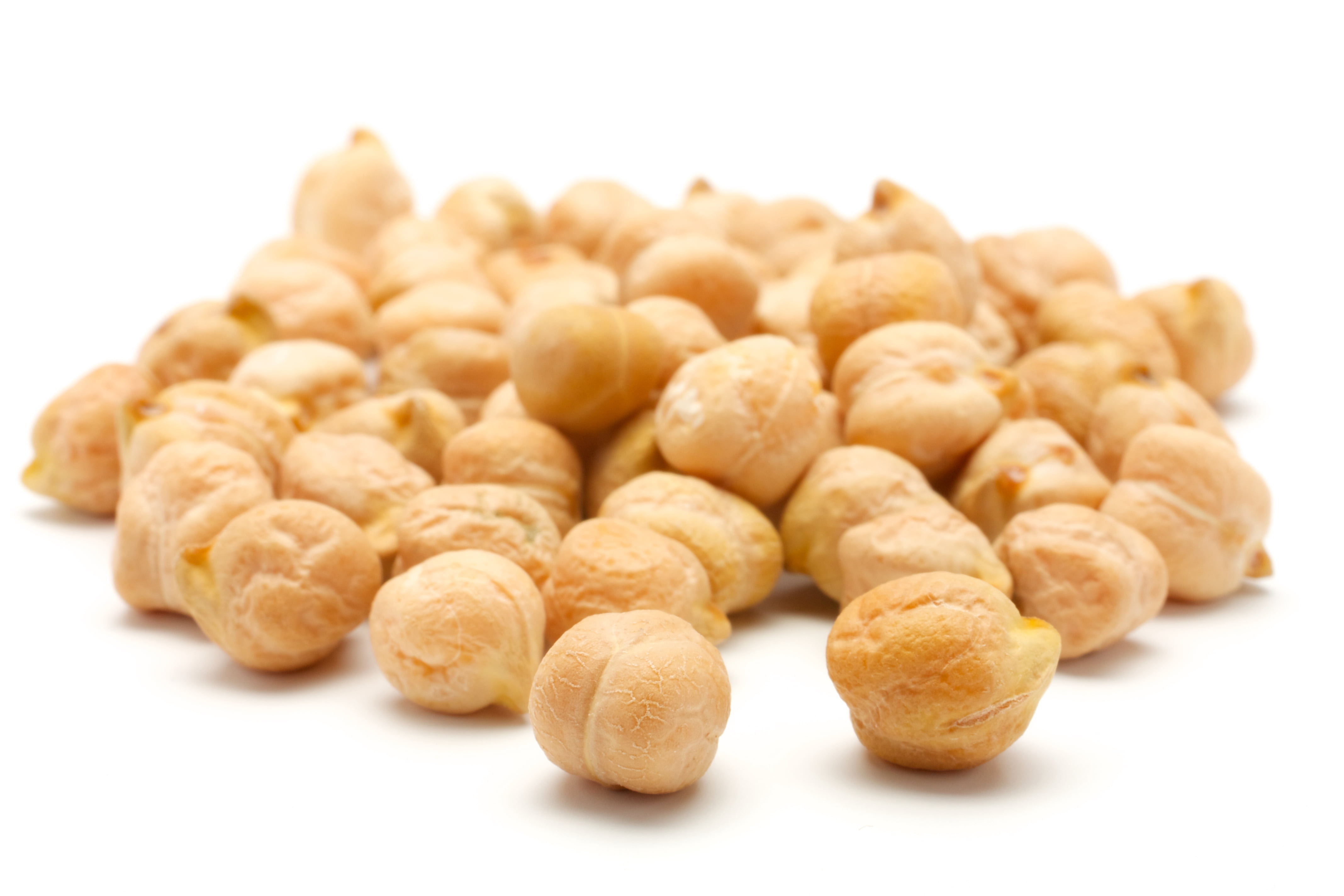 Garbanzo Bean, 40LB Emergency Bucket, USA Grown, USDA Certified Organic & GMO Free, Sustainable Farming Practices-Mountain High Organics