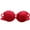 Red, variant on Bigersell Women Push up Bandeau Bra with Underwire Strapless Bras Floral Lace Comfortable Padded Tube Tops Bra Red S
