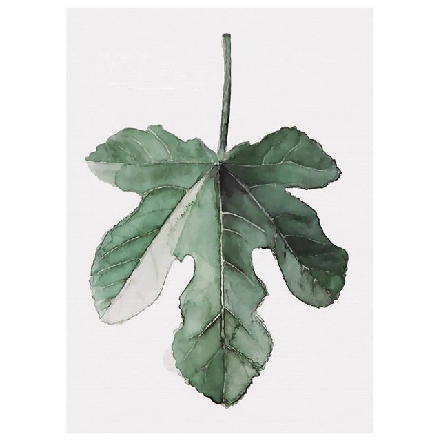 Sin marco, plantas verdes simples, hojas, pintura al óleo decorativa, imagen, dibujo, póster, decoración de la pared de la habitación sidaley JJ16766-17