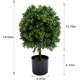 thumbnail image 5 of Kojooin Plantas Topiarias Artificiales, Árboles de Bolas de Boj Falsos para Exteriores E Interiores, Vegetación Sintética para Decoración Del Hogar, 20 Pulgadas, sin Fruta, 2 Pzas, 5 of 7