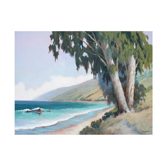 Canvas Wall Art - Ed Penniman 'Central California Coast' Wall Art for Living Room, Bedroom, or Office Décor by Trademark Fine Art - 19 x 14 Inches