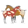 thumbnail image 2 of CafePress - Two Horse Appaloosa & Paint Design - Large Beach Towel, Soft 30"x60" Towel with Unique Design, 2 of 3