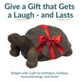 thumbnail image 4 of Sunnydaze 9" Tanya the Tortoise Poly-Concrete Outdoor Statue, 4 of 9
