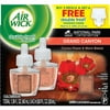 Plaza Provision Air Wick Grand Canyon Cactus Flowers & W