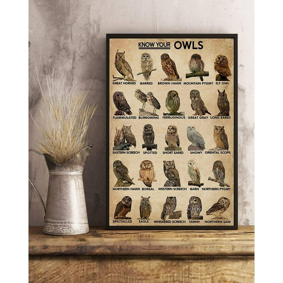 Know Your Owls Satin Poster Wall Art Decor 11 x 17 Inch Poster