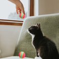 thumbnail image 6 of Darzheoy 5pcs Interactive Cat Toy Balls for Indoor Cats Colorful Rainbow Soft Foam Kitten Toys Ball for Small Dogs Puppies Quiet Playing Stuff, 6 of 6